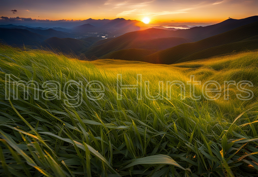 Grassy Mountain Landscape at Sunset