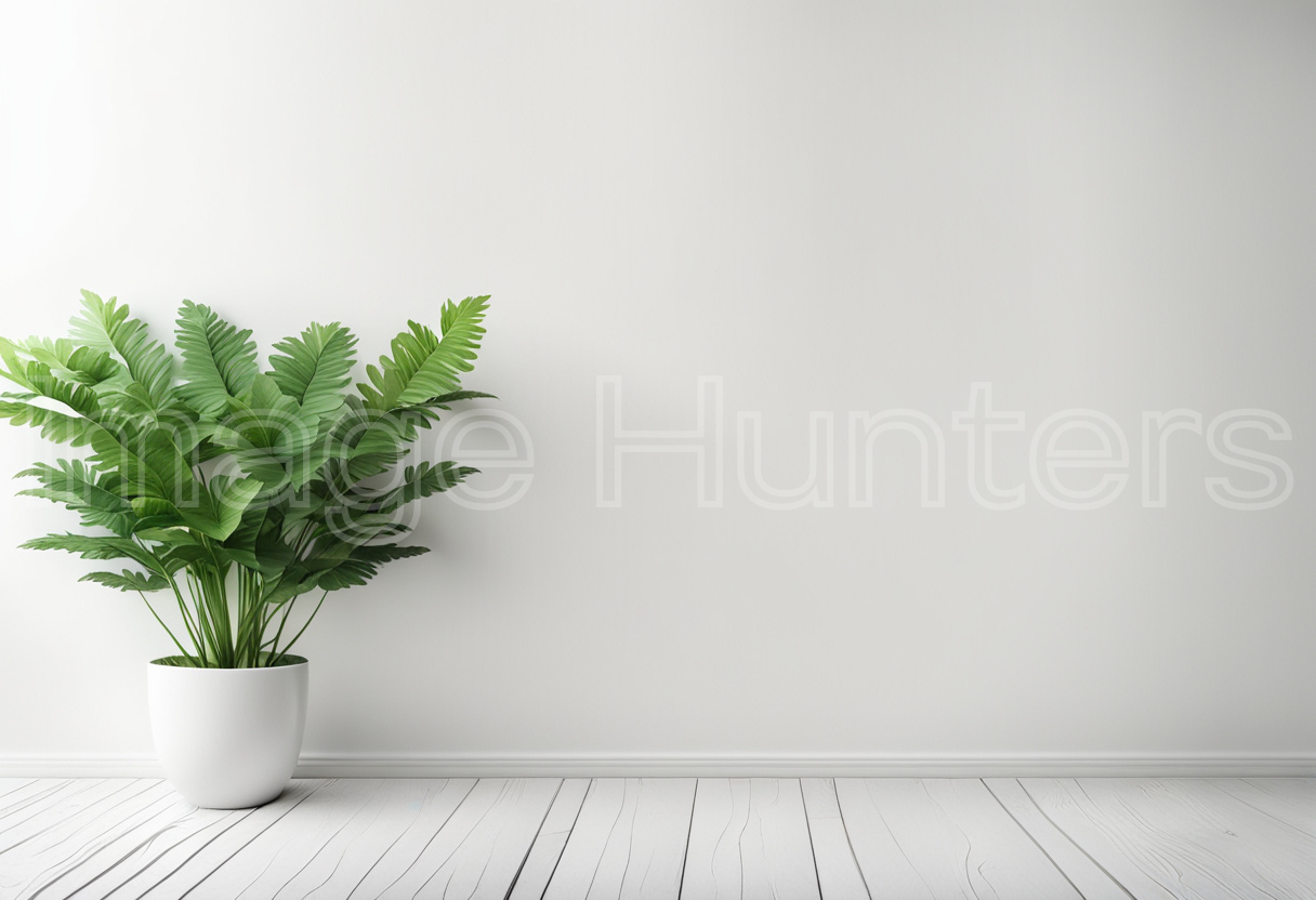 a single plant pot against a blank white wall