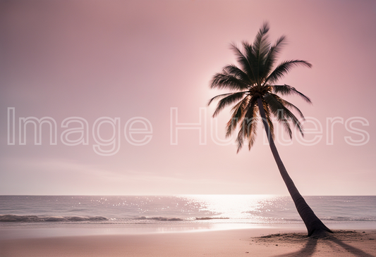 Palm Tree at Sunset on the Beach